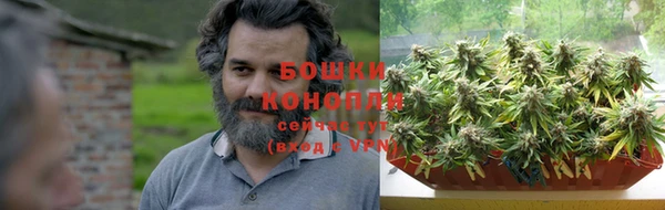 трава Абаза