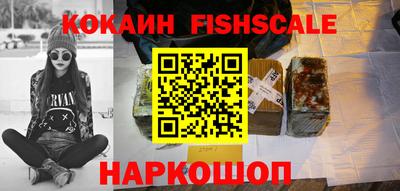 твердый Гатчина