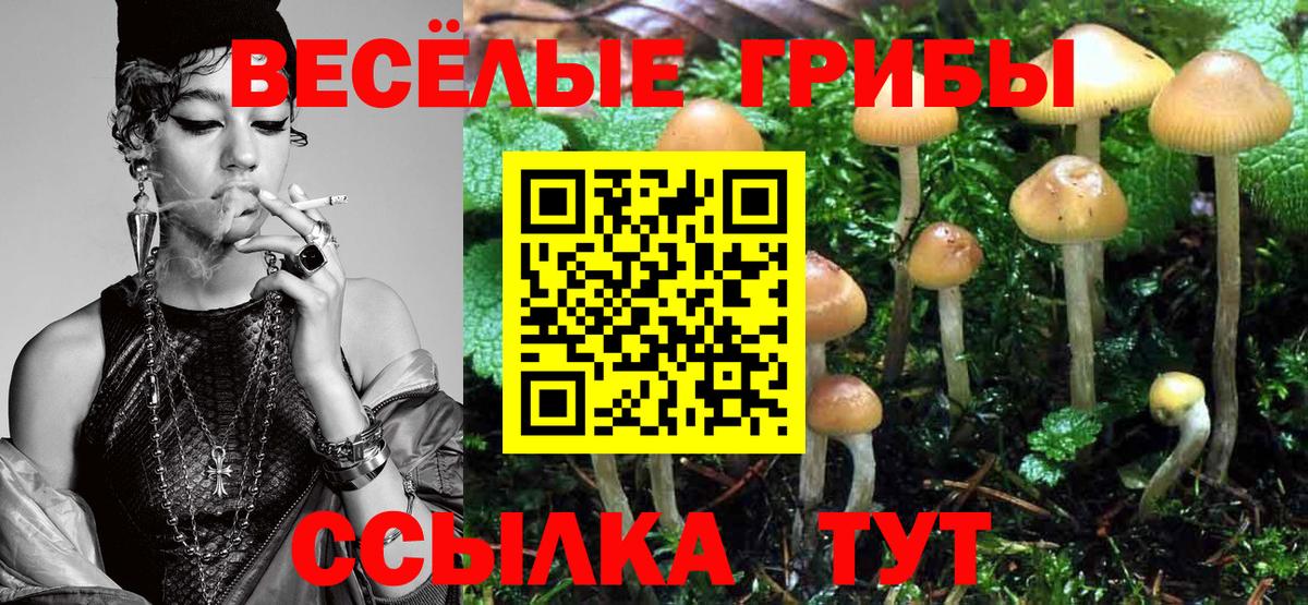 Лосино-Петровский  Псилоцибиновые грибы мухоморы  Вход с VPN  Галлюциногенные грибы GOLDEN TEACHER 