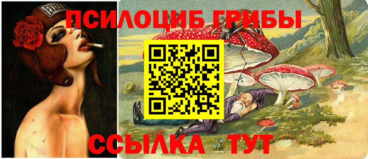 Псилоцибиновые грибы Psilocybe Лосино-Петровский