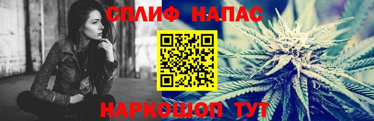 Канабис сатива Лосино-Петровский